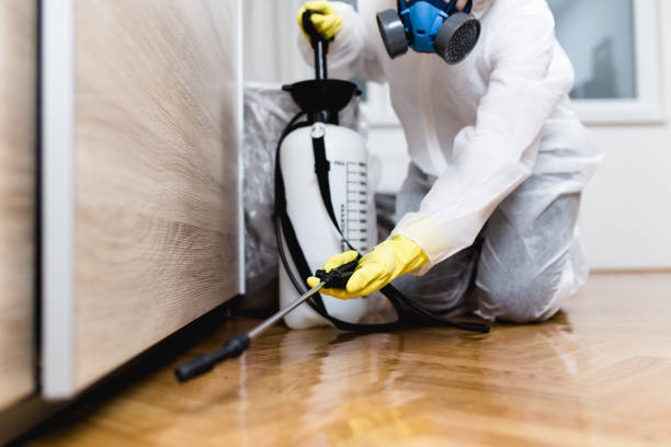 Best Pest Control Near Me  in Lanster, CA