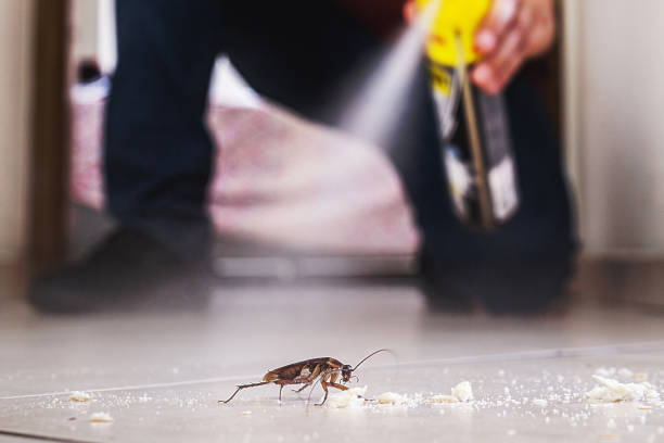 Best Cockroach Control Services  in Lanster, CA